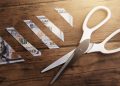 The Future of SBA Lending Under DOGE’s Influence